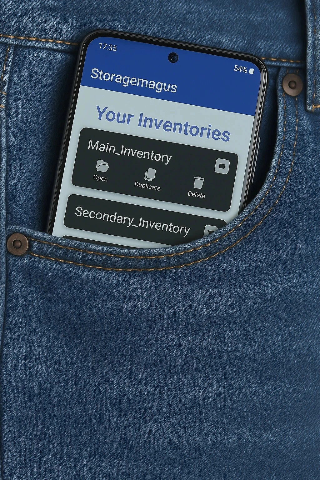 Storagemagus mobile inventory app interface